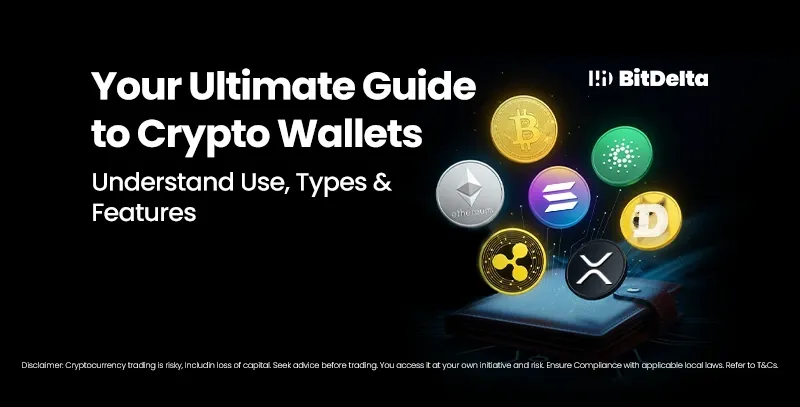 Cryptocurrency Wallets Explained: Types, Features & How They Work